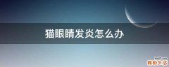 猫眼睛发炎怎么办