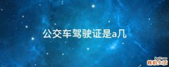 公交车驾驶证是a几