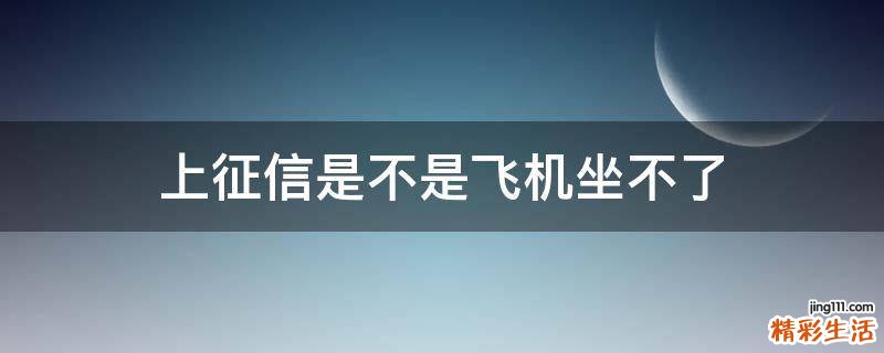 上征信是不是飞机坐不了