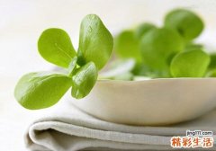 马齿苋吃多了会尿频吗 马齿苋吃多了尿频怎么办