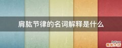 肩肱节律的名词解释是什么