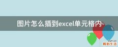 图片怎么插到excel单元格内