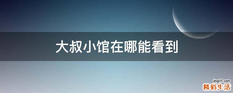 大叔小馆在哪能看到