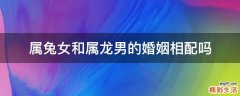 属兔女和属龙男的婚姻相配吗