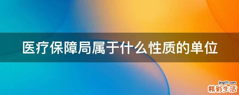医疗保障局属于什么性质的单位