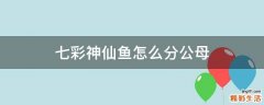 七彩神仙鱼怎么分公母