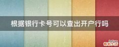 根据银行卡号可以查出开户行吗