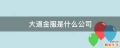 大道金服是什么公司