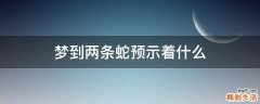 梦到两条蛇预示着什么