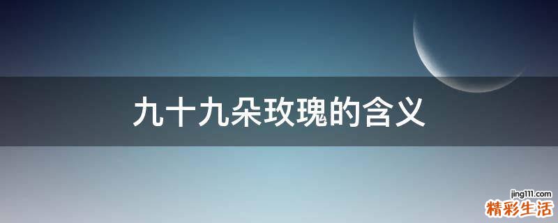 九十九朵玫瑰的含义
