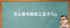 怎么看电脑独立显卡几g