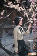 8 鼠曲草