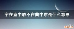 宁在直中取不在曲中求是什么意思