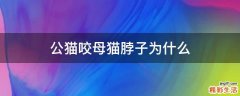 公猫咬母猫脖子为什么
