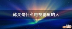 韩灵是什么电视剧里的人