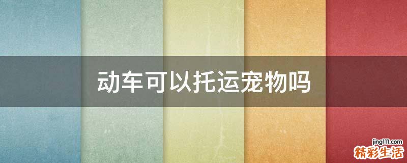 动车可以托运宠物吗
