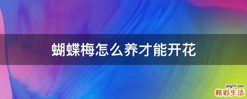 蝴蝶梅怎么养才能开花