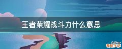 王者荣耀战斗力什么意思