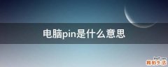 电脑pin是什么意思