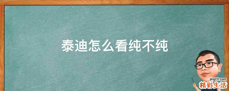 泰迪怎么看纯不纯
