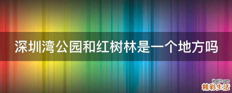 深圳湾公园和红树林是一个地方吗