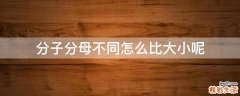 分子分母不同怎么比大小呢