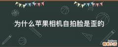 为什么苹果相机自拍脸是歪的