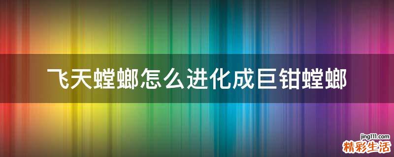飞天螳螂怎么进化成巨钳螳螂