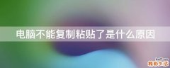 电脑不能复制粘贴了是什么原因