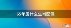65年属什么生肖配偶