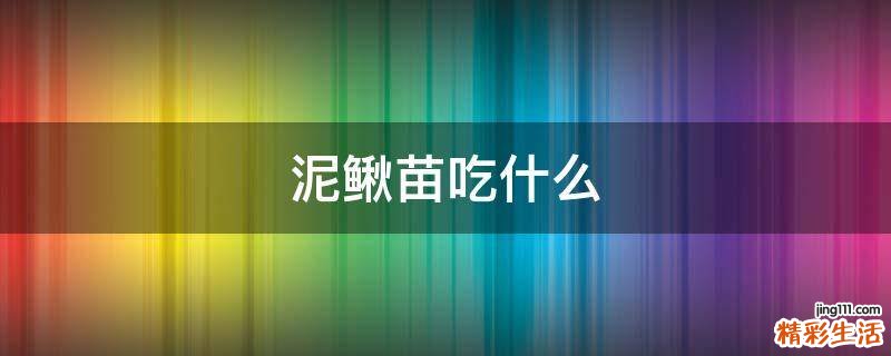 泥鳅苗吃什么