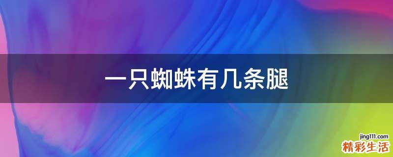 一只蜘蛛有几条腿