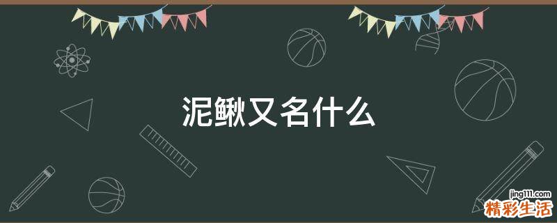 泥鳅又名什么