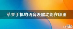 苹果手机的语音唤醒功能在哪里