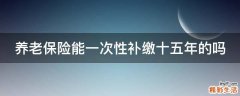 养老保险能一次性补缴十五年的吗