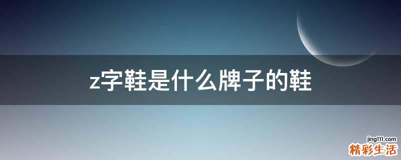 z字鞋是什么牌子的鞋
