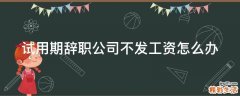 试用期辞职公司不发工资怎么办