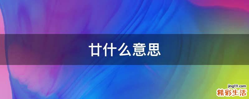 廿什么意思