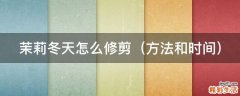 方法和时间 茉莉冬天怎么修剪