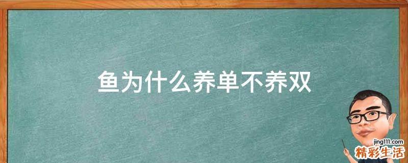 鱼为什么养单不养双
