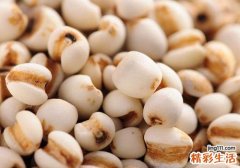 盆腔积液吃什么食物好