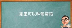 家里可以种葡萄吗