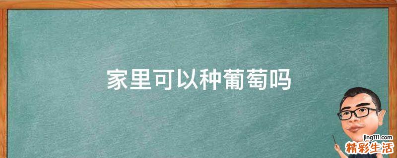 家里可以种葡萄吗