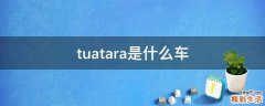 tuatara是什么车