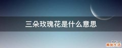 三朵玫瑰花是什么意思