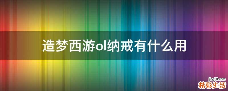 造梦西游ol纳戒有什么用
