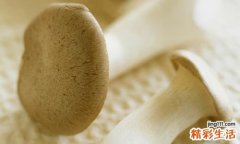 盆腔积液能喝蜂蜜水吗 盆腔积液怎么喝蜂蜜好