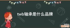 twb轴承是什么品牌