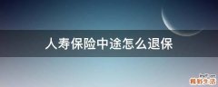 人寿保险中途怎么退保