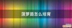 菠萝苗怎么培育